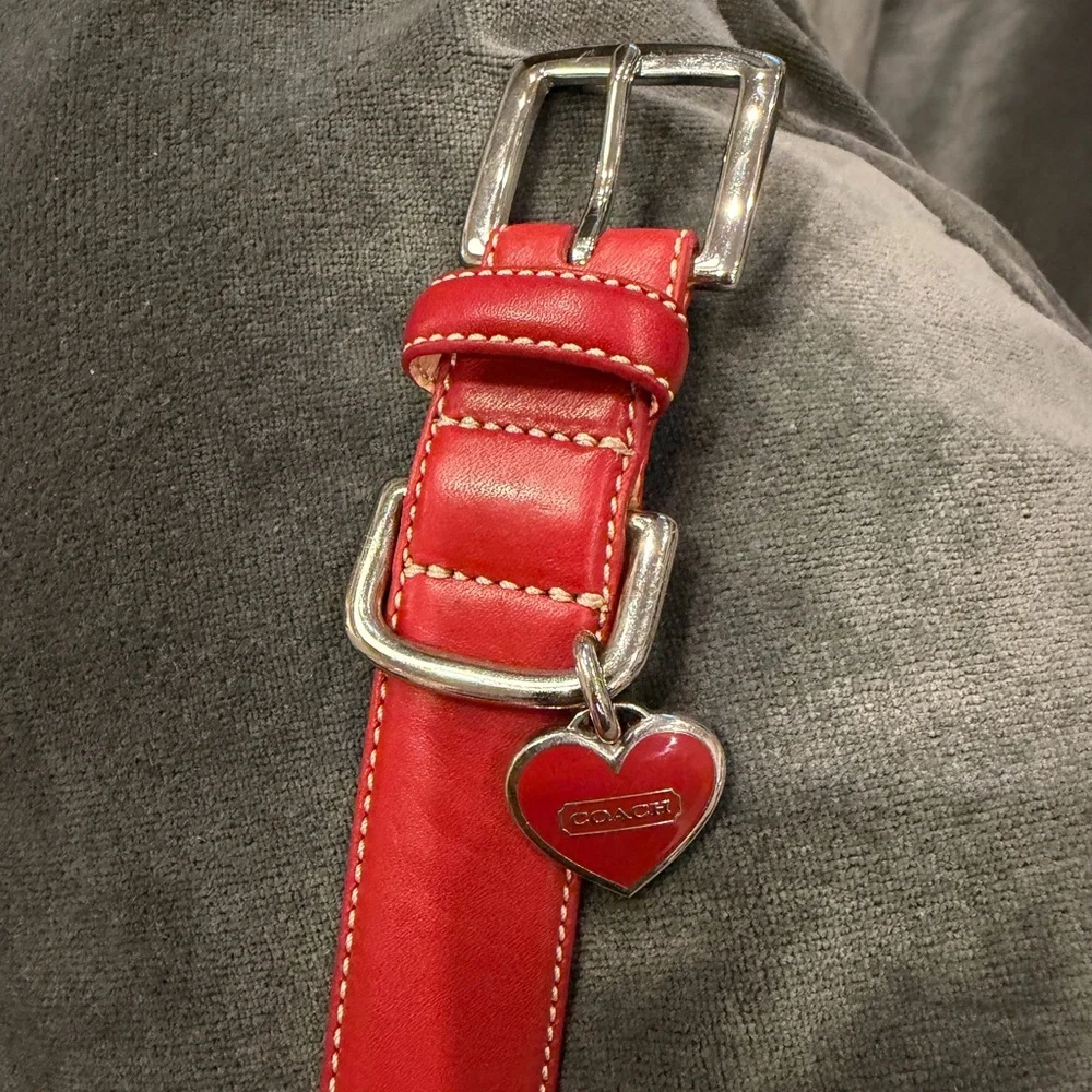 Coach Collar & Leash Set, Red Leather, ♥️ charm, Sz Lg, 17-21”, 48” leash - Picture 3 of 12